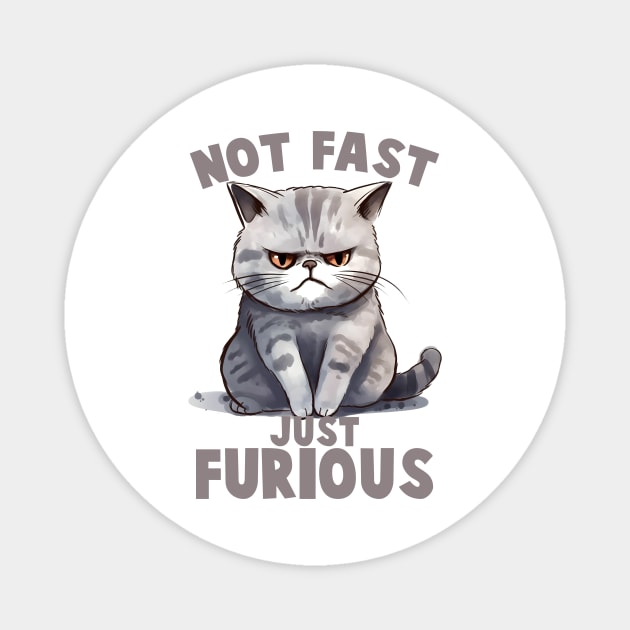 NOT FAST JUST FURIOUS CAT Funny Quote Hilarious Sayings Humor Magnet by skstring